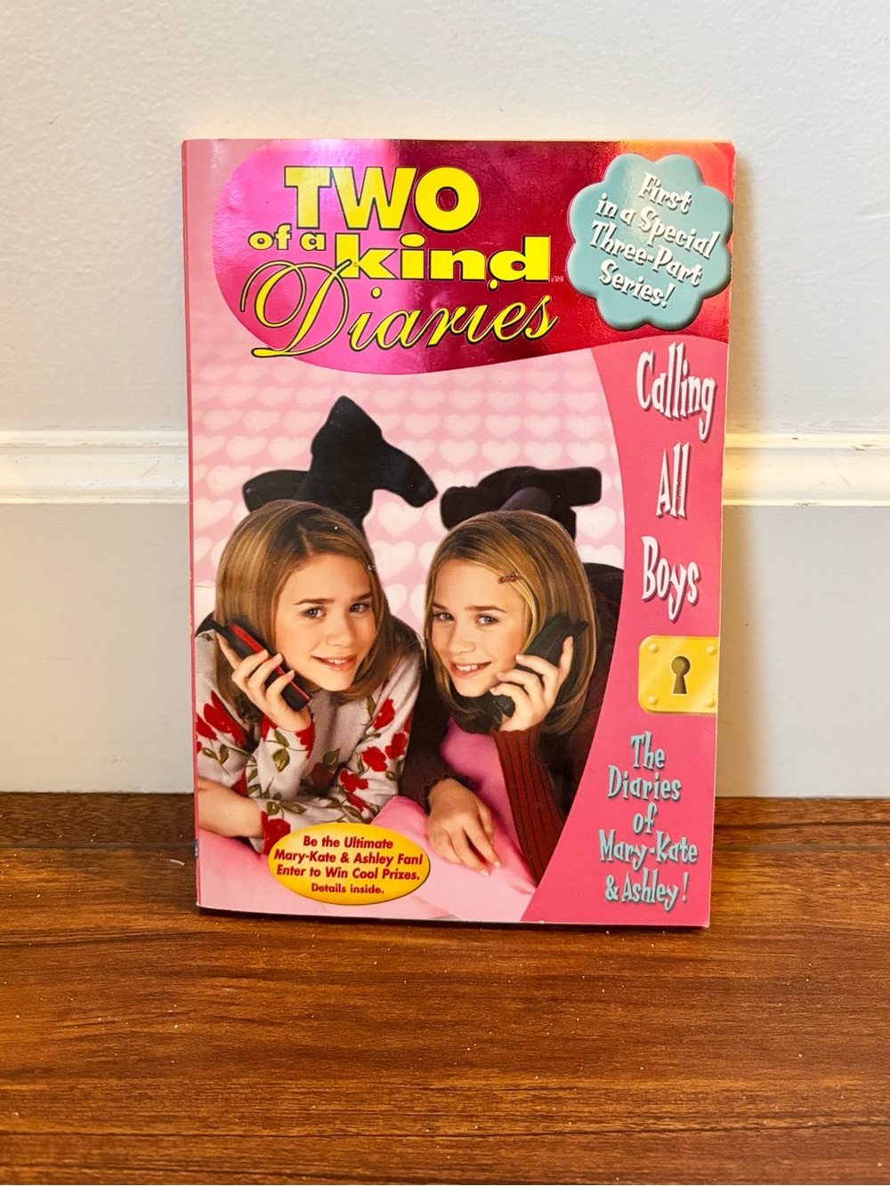 Two of a Kind Diaries: Calling All Boys (2000) Mary Kate & Ashley Chapter Book